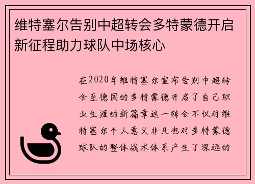 维特塞尔告别中超转会多特蒙德开启新征程助力球队中场核心 维特塞尔告别中超转会多特蒙德开启新征程助力球队中场核心